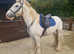 Family cob