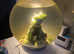 60 lt biorb fish tank with heater pump and filters