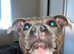 Kc reg staff