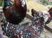 Lovely Speckled Colourful pullets - excellent layers LF