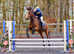 STUNNING ALL ROUNDER