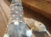 Lovely Bearded Dragon Morph and Set Up