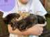 Kittens for sale