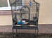PARROT CAGE FOR SALE