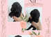 Beautiful toy poodle babies