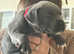 Beautiful blue staff puppies for sale