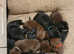 *Top Quality* KC Fully Health Tested 0:0 hips Chocolate Black Labrador puppies