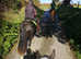 15'1 gelding lwvtb