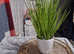 Faux plant in white pot
