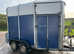 Ifor Williams 505 Horse box