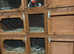 5ft 4 tier rabbit hutch