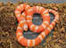 Albino Tangerine Honduran Milksnake at Birmingham Reptiles