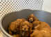 Red cocker spaniel puppies