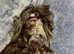 Puppies Yorkshire terrier @Tiny size @ pedigree @
