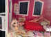Rainbow High Doll House