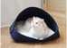 NEW Thick Felt Cat Dog Pet Minimalist Bed