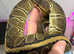 1 x CB23 Female Chocolate Pinstripe Royal Python