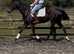 Genuine Mare RoR eligible
