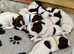 Liver and White English Springer Spaniel puppies