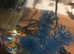 4 danios with complete setup