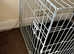 L/XL dog crate