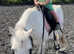 Brilliant little kids pony.
