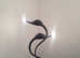 Beautiful Black Swan Lights