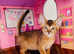 Tica MaleCHAMPION Lines Pedigree
