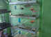 Wire double breeding cages with LED lighting