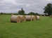 EXCELLENT ROUND BALE MEADOW HAY
