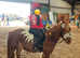 11.1hh genuine, all round LR and/or FR pony