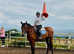 Sweetest sports horse gelding