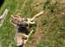 Tamaskan Dog