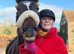 Registered ride and drive mare