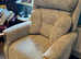 Bush mobility recliner and raiser electric chair