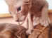 Sphynx kittens for sale