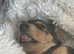 Bruno URGENT SALE!!!