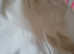 Bundle of girls clothes age 9/10 years old ex condition £25