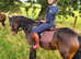 Beautiful Connemara mare