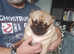 One little  boy looking for a forever home