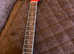 Freshman accoustic guitar