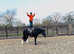 Bell super safe Irish cob