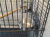 Parrot / Amazon parrot cage