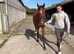 Thoroughbred Filly 3 year old beautiful