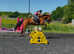 16.2h 5 year old Irish sport horse gelding