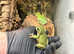 White tree frogs (6) and enclosure