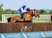 Thoroughbred gelding
