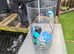 SMALL ROUND FISH TANK WITH ACCESSORIES AND LIGHT
