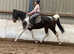 Super summer project mare