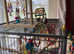 Xxl bird cage with 20 toys & 15 perches of different variety